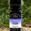Violet fragrance oil from Essican Purelife | Fragrance Oils UK