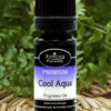 Cool Aqua fragrance oil from Essican Purelife | Fragrance Oils UK