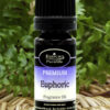 Euphoric fragrance oil from Essican Purelife | Fragrance Oils UK