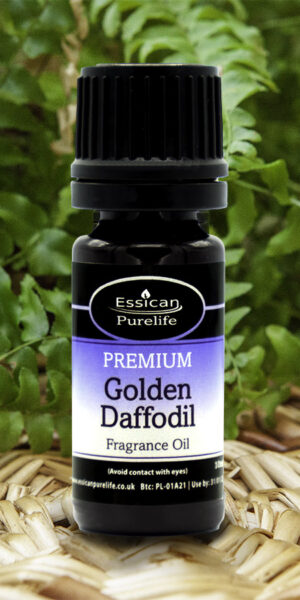 Golden Daffodil fragrance oil from Essican Purelife | Fragrance Oils UK